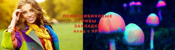 ALPHA PVP Алексин
